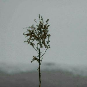 174美女极品粉嫩美鲍
